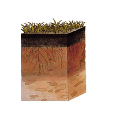Тип ґрунту (пучинистий/не пучинистий) та вибір фундаменту для будинку
